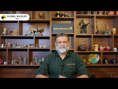 What is Global Wildlife Fair?