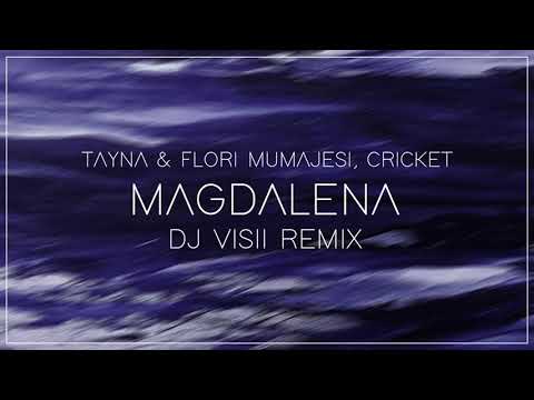 Tayna x Flori Mumajesi x  Cricket  Magdalena ( Dj Visii Remix )