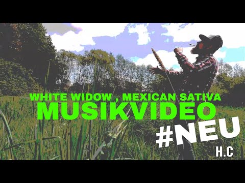 ► K-OZ MC - WHITE WIDOW , MEXICAN SATIVA ◄ ( Smoke Weed Everyday )  prod by. HC.Production