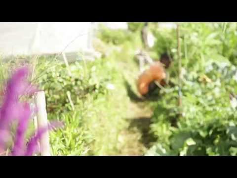 Help Two "At Risk" Teens Learn Organic Farming