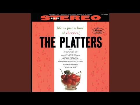 Tumbling Tumbleweeds