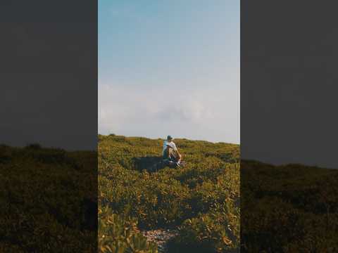 illrain, BUPPON & MuKuRo - KOMOREBI