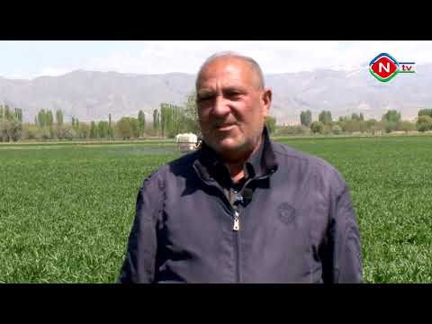 Zəhmətkeş - 21.04.2021