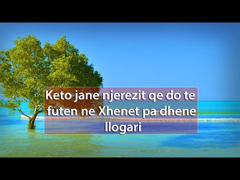 Keto jane njerezit qe do te futen ne Xhenet pa dhene llogari