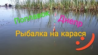 Где клюет рыба днепр