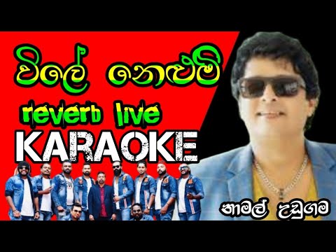 wile Nelum Nelannata Epa ( විලේ නෙළුමිි නෙලන්නට එපා ) karaoke_namal udugama | live