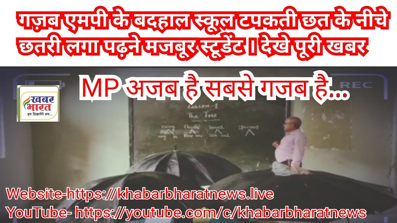 MP: टपकती स्कूल की छत, लग रही अंब्रेला वाली क्लास। देखे पूरी खबर वीडियो में