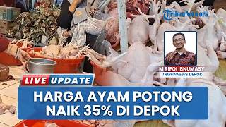 Sepekan Ramadhan 2026, Harga Ayam Potong di Pasar Pal Depok Naik hingga Sentuh 35 Persen
