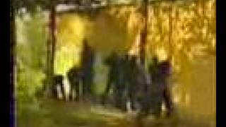 Macedonian Army - Promotional Video