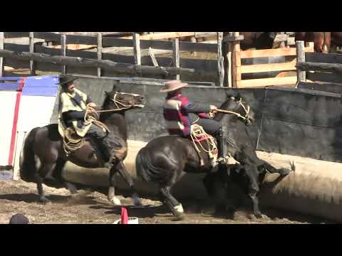 1ra Serie Libre Puerto Cisnes /sábado 07 febrero 2026