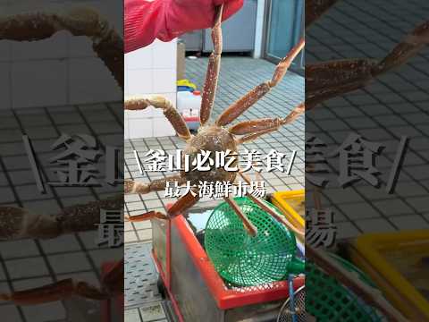 釜山最大海鮮市場 札嘎其市場#釜山旅行 #釜山 #釜山美食 #釜山旅遊