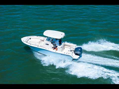 2021 Grady-white Fisherman 216 Video