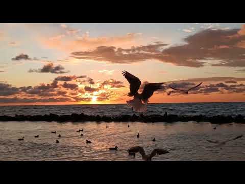 Kaśka Sochacka - Strona B