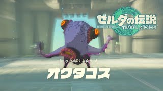 キモイ敵出しとけばいいと思ってそう【ゼルダの伝説ティアーズオブキングダム】#23