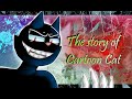 The Story Of Cartoon Cat FULL ANIMATION All Eyes On Me