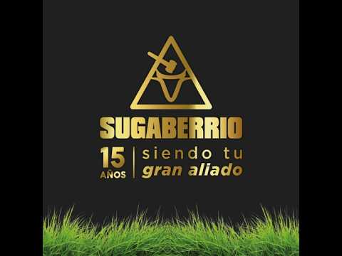 Subasta Comercial Sabana de torres N°478