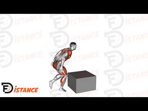 Exercice Saut sur box