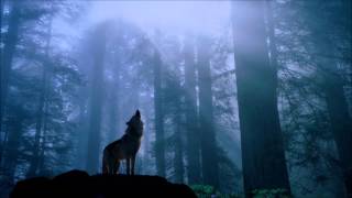 1 Hour Native American Flute &amp; Acoustic Guitar Music for Meditation of Wolf Spirit