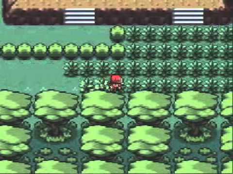guida pokemon rosso fuoco 14°parte-la medaglia anima e la zona safari