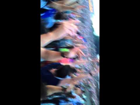 Crowd at tomorrowland 2014