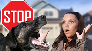 Eliminating Barking at Guests and People Outside!