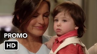 promo SVU 17x08