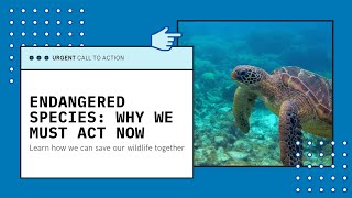 Endangered Species: Why We Need to Act Now | Save The Earth