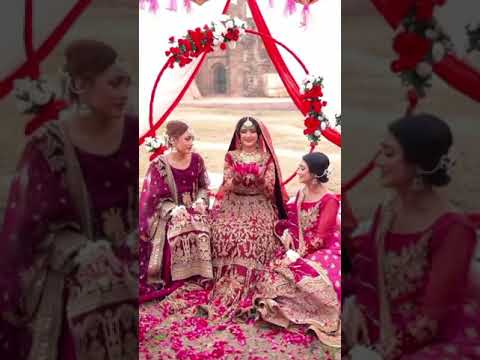 Wedding Photographer portfolio by Shaadi Celebration in Delhi - Photo 0