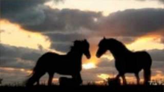 maria mckee &quot;the horse life&quot;