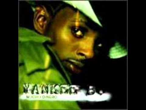 Yankee B: "Mucho Dinero"