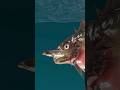 Fish Eat Fish Bull Trout Sea Monster Vs The Bloop Sea Monster