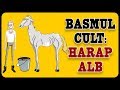 Harap Alb Basm Cult ZAIABAC 3