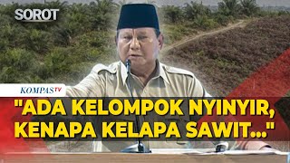 Download lagu Prabowo: Kelapa Sawit Itu Miracle Crop, Tapi Ada Kelompok Nyinyir! mp3