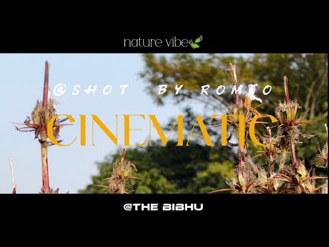 ￼Nature cinematic video 🎬 (@BIBHULIFESTYLEMANUAL )