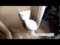 Tonight At 10 Exploding Toilets