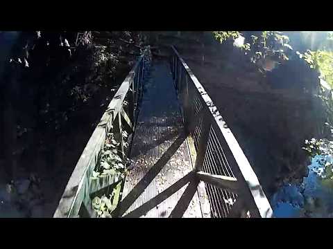 Esplora il Parco del Gigante Luzzana: Natura e Avventura a Due Passi da Te