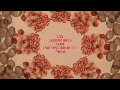 Consumo de legumbres | Alimentación sostenible