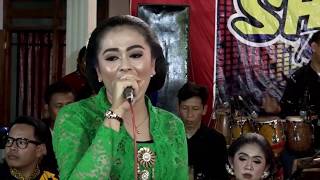 Download lagu LALI JANJINE cover CHANDRA SHAKA TREND MUSIC mp3 Download lagu LALI JANJINE cover CHANDRA SHAKA TREND MUSIC mp3