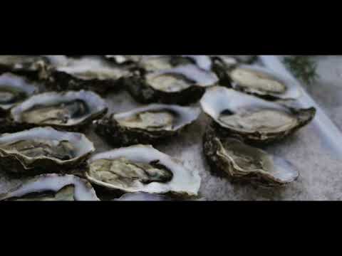 download lagu mp3 mp4 Sunny Beach Meduza, download lagu Sunny Beach Meduza gratis, unduh video klip Sunny Beach Meduza