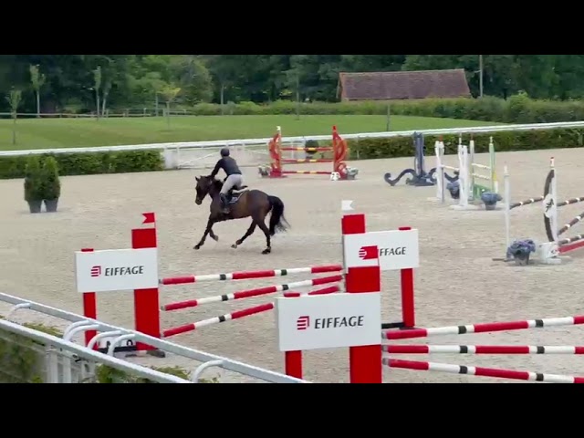 Cheval 7 ans super amateur 