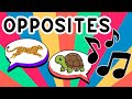 Opposites Song For Kids Learn Opposite Words Preschool Learning Video