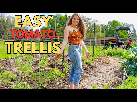 TRELLIS to make them JEALOUS! Is it really THAT EASY??  #trellis #verticalgarden