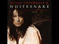 Take Me Back Again - Whitesnake