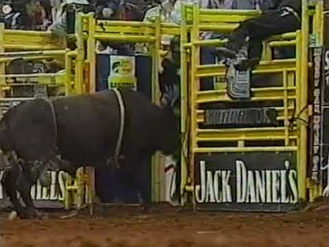 Western Wishes bucks Ross Coleman - 04 PBR Guthrie