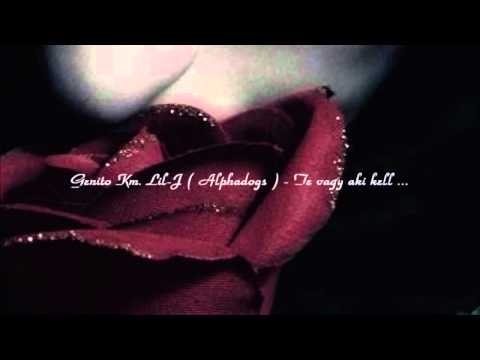 Genito Km.Lil-J ( Alphadogs ) - Te vagy aki kell  ( Official HD Video )