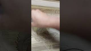 olha o peixinho #shorts