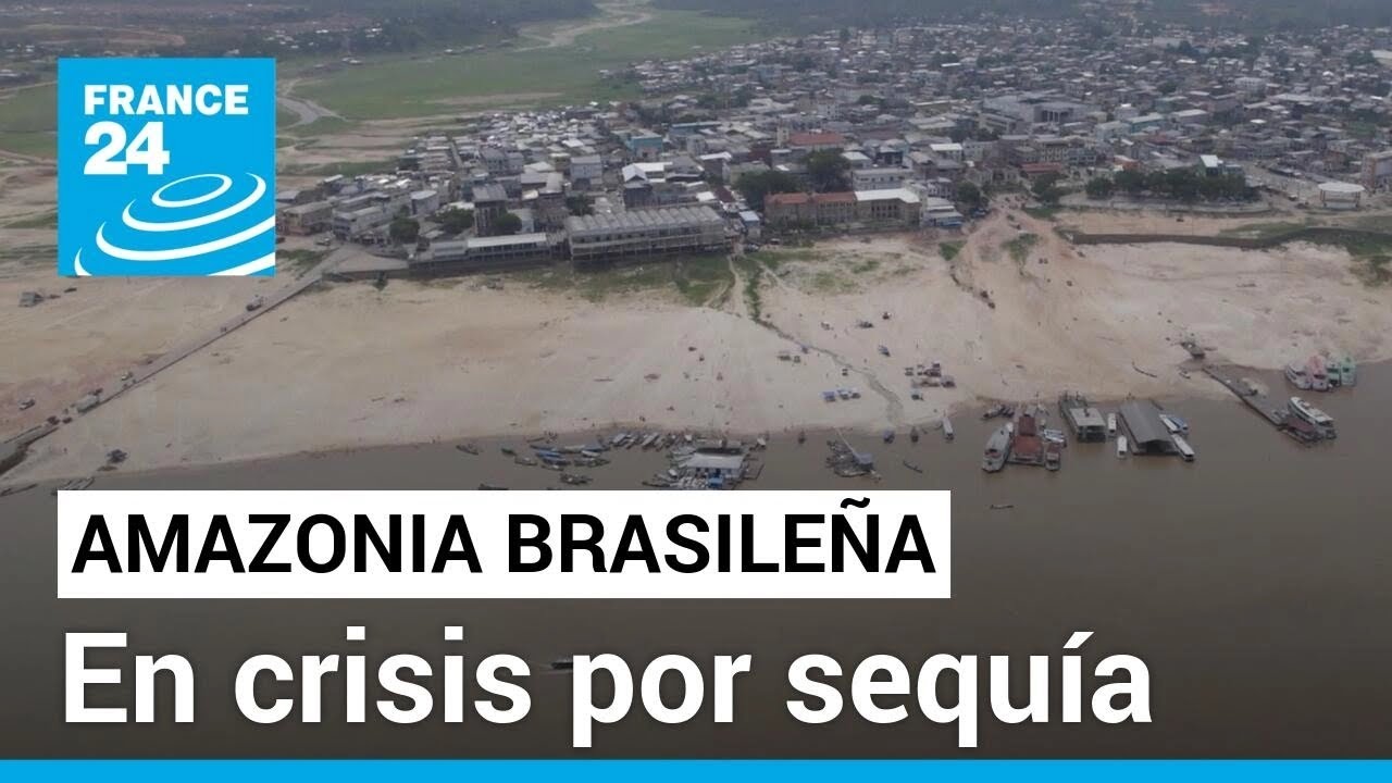 El estado brasileño de Amazonas sufre los estragos de una sequía sin precedentes • FRANCE 24