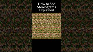 How to See Stereograms #opticalillusions #tips #stereogram #magiceye #mushroom #cute #3d