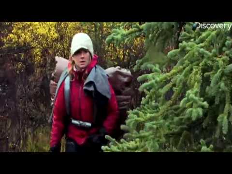 Out of the Wild: The Alaska Experiment