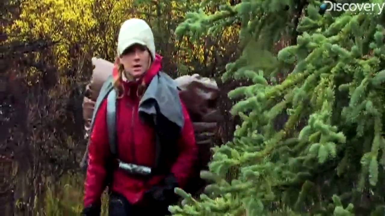 Out of the Wild (2026) Movie Review: A Journey of Redemption and Healing